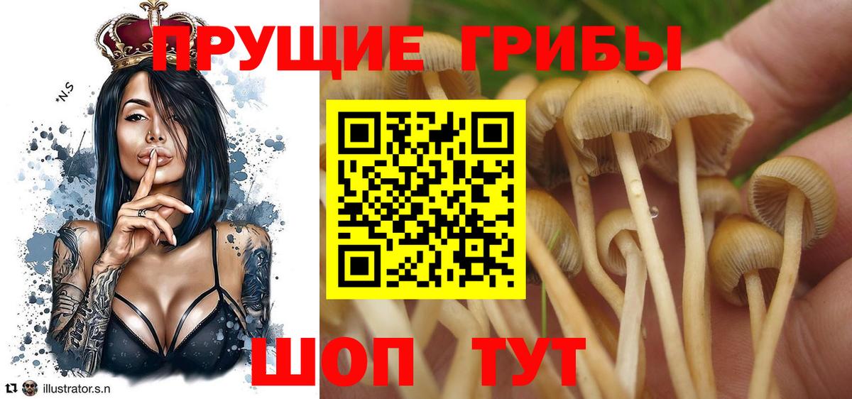Галлюциногенные грибы ЛСД Новосибирск